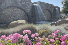 IMG_4330_resize