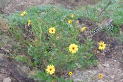 DSCN3663_resize