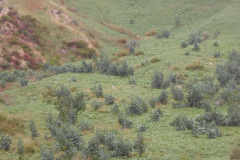 DSCN3672_resize
