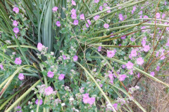 DSCN3673_resize