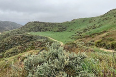 image1_resize