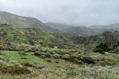 image4_resize