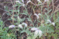 DSCN4261_resize