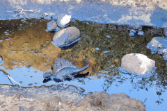 DSCN4263_resize