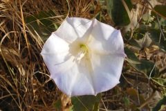 DSCN4264_resize