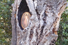 DSCN4267_resize
