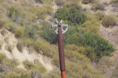 DSCN4269_resize
