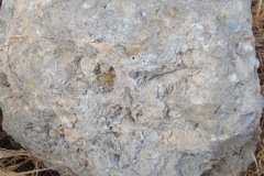DSCN4274_resize