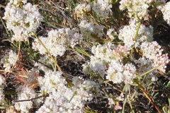 DSCN4276_resize
