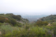DSCN3851_resize