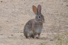 DSCN3853_resize