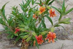 DSCN3857_resize