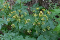 DSCN3858_resize