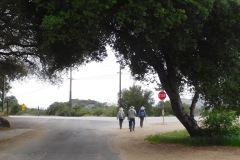 DSCN3863_resize