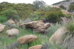 DSCN3866_resize
