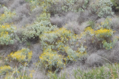 DSCN3869_resize
