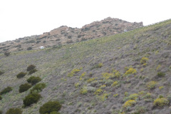 DSCN3872_resize