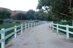 DSCN2701_resize