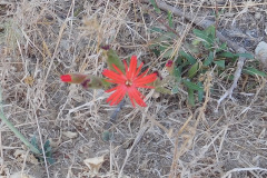 DSCN2704_resize