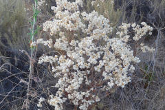 DSCN2707_resize