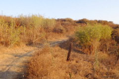 DSCN2708_resize