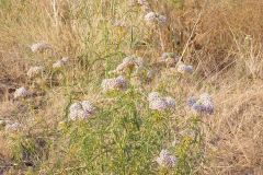 DSCN2712_resize