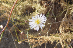 DSCN2716_resize