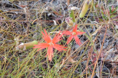 DSCN4344_resize