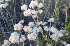DSCN4345_resize