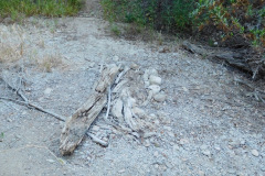 DSCN4348_resize