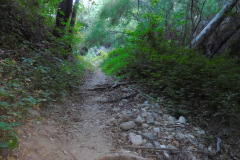 DSCN4353_resize
