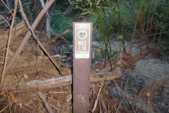 DSCN4354_resize