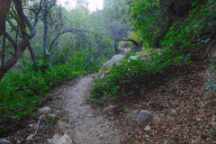 DSCN4355_resize