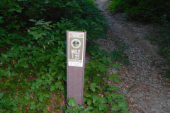 DSCN4358_resize