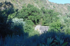 DSCN4368_resize
