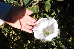 DSCN4371_resize