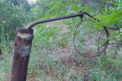 DSCN4373_resize