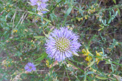 DSCN4375_resize