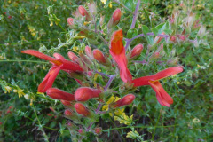DSCN4377_resize