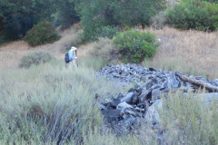 DSCN4382_resize