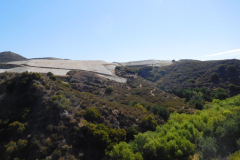 DSCN4390_resize