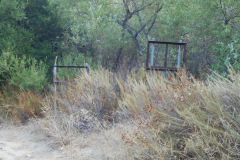 DSCN5033_resize