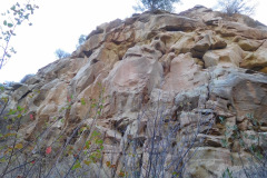 DSCN5036_resize