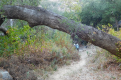 DSCN5039_resize