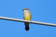 DSCN5047_resize