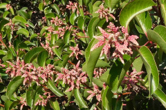 DSCN5054_resize