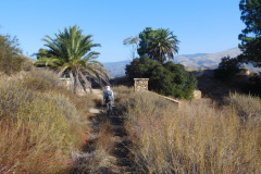 DSCN5055_resize