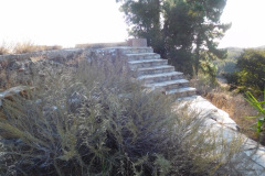 DSCN5056_resize