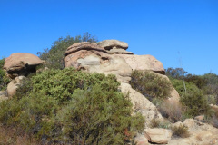 DSCN5059_resize