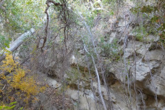 DSCN3182_resize